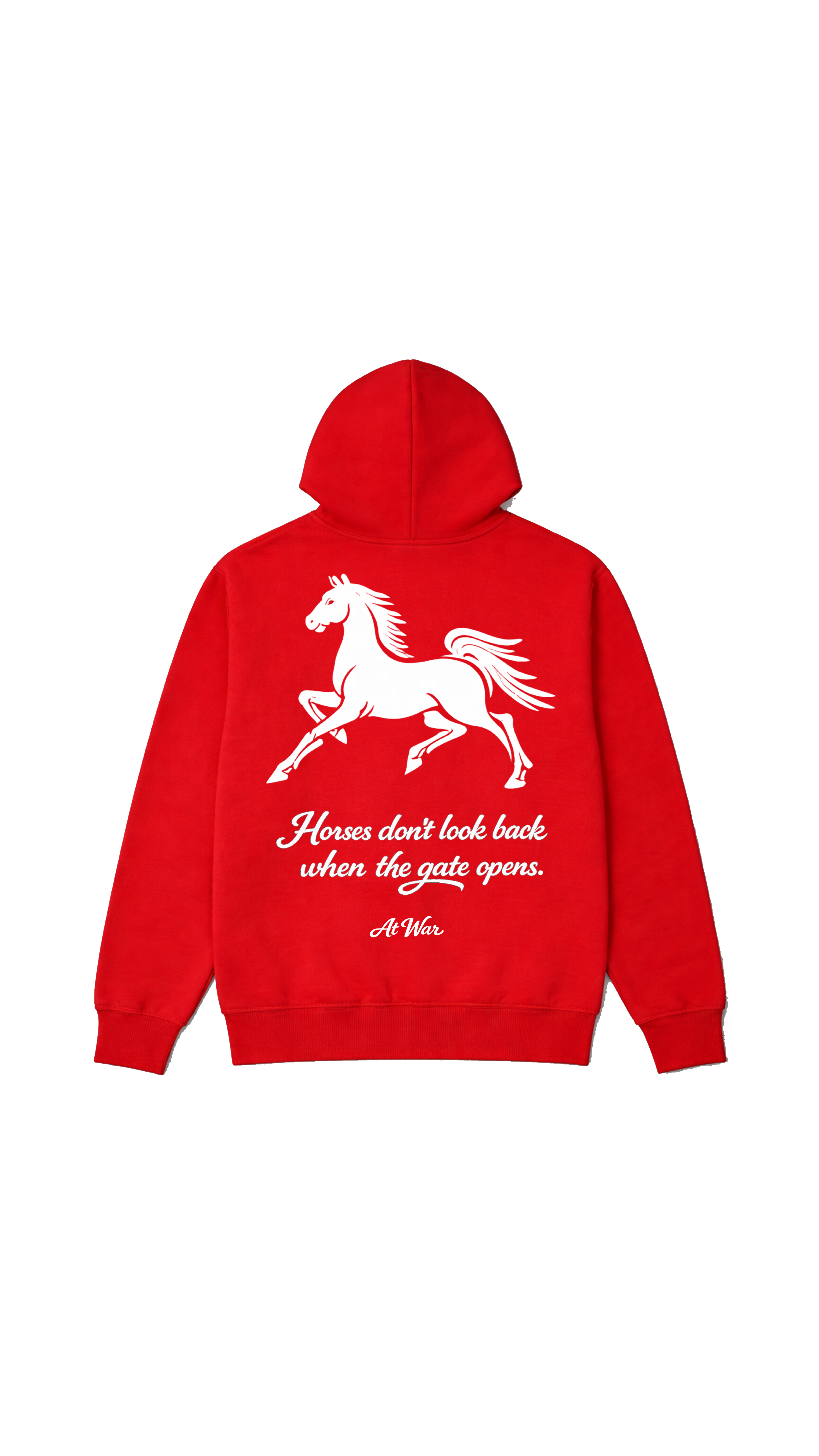 Year of the Horse Hoodie