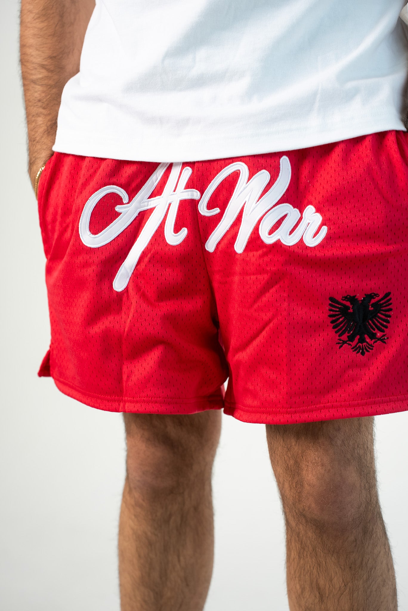 Albanian Eagle Mesh Shorts