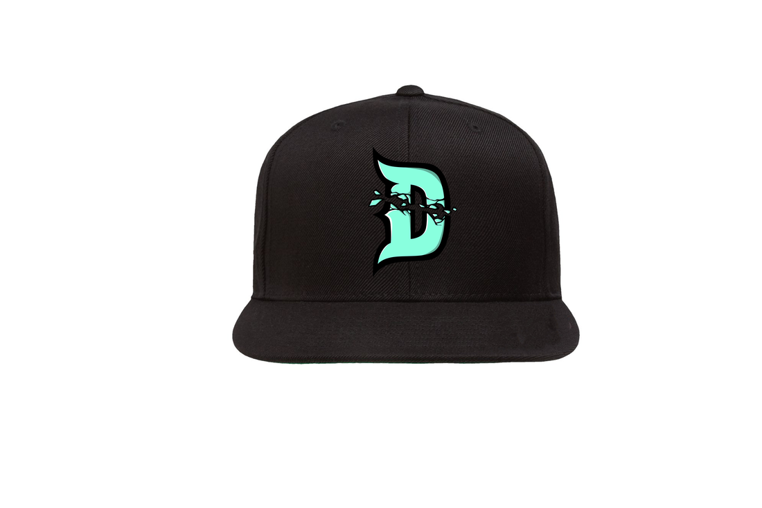 Dream Snapback Hat (BLACK)